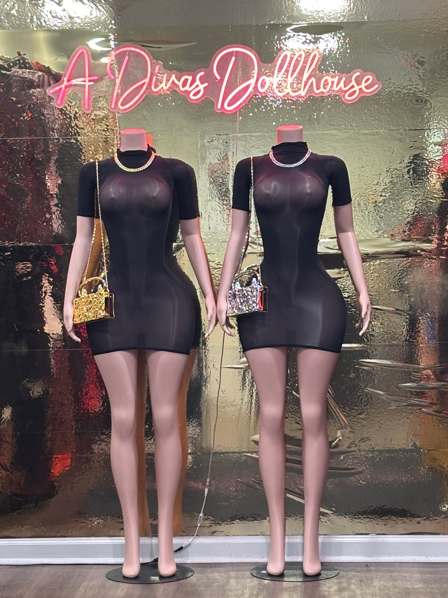Body Con Sheer Dress