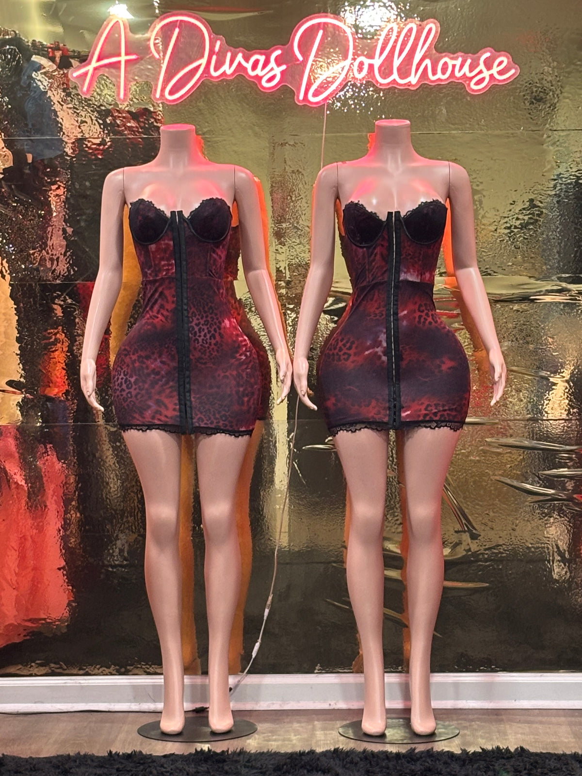Corset Print Dress